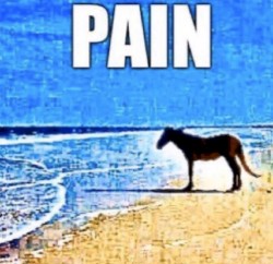 Pain