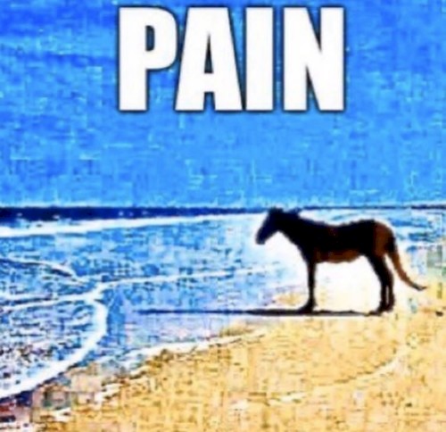 Pain