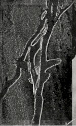 Merzbow Mixtape