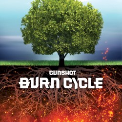 Burn Cycle