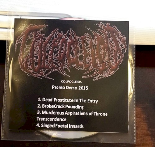 Promo Demo 2015