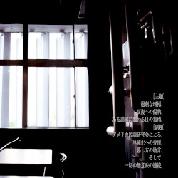 過剰な増幅、反復への偏執、ある諦感に関わる11の集積。