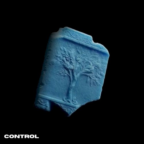 CONTROL