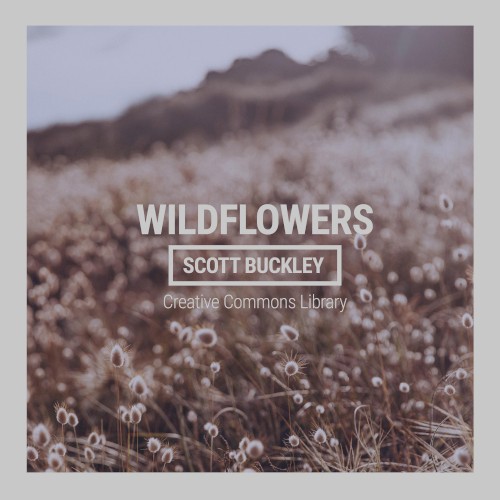 Wildflowers
