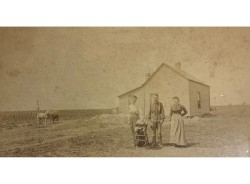 Homestead