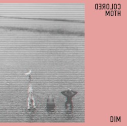 DIM