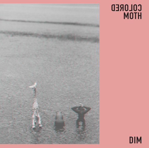 DIM