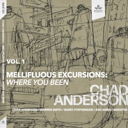 Mellifluous Excursions, Vol. 1: Where You Been