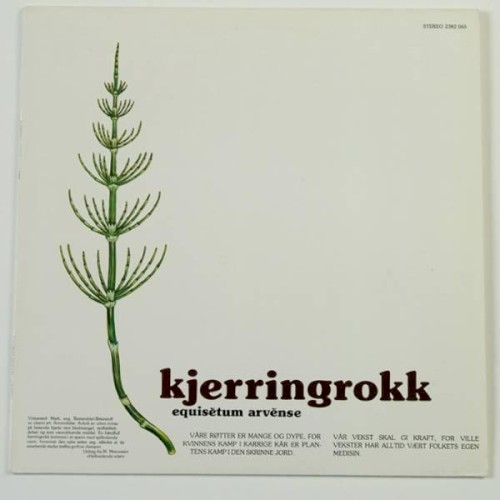 Kjerringrokk om kvinner