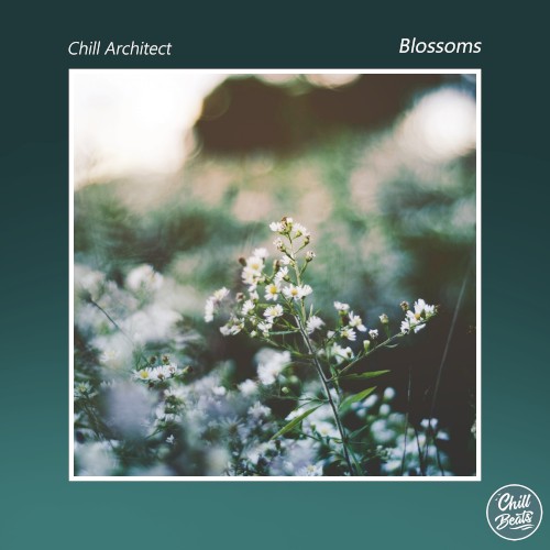 Blossoms