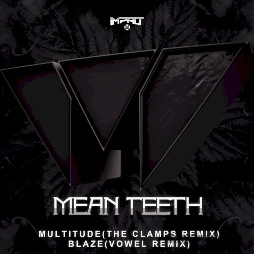 Remixes