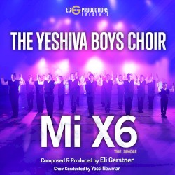 Mi X6