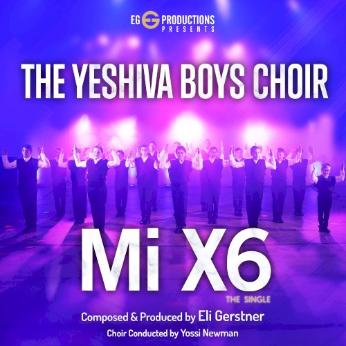 Mi X6