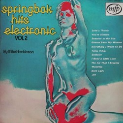 Springbok Hits Electronic Vol. 2