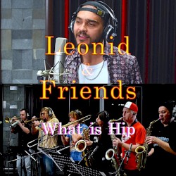 What is Hip