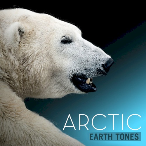 Arctic