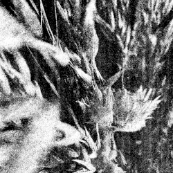 Ancient Nocturnal Summoning