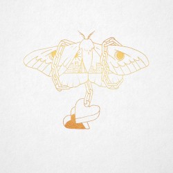 Gold in a Brass Age (acoustic version)