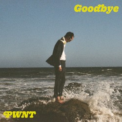 Goodbye