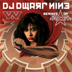 DJ Dwarf Nine: Fuckit