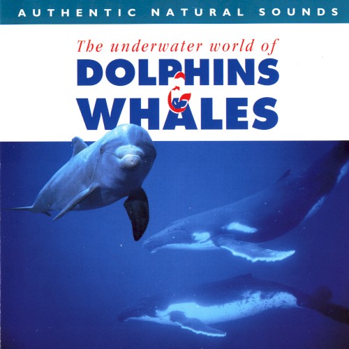 Relax With Nature, Volume 7: Dolphins & Whales