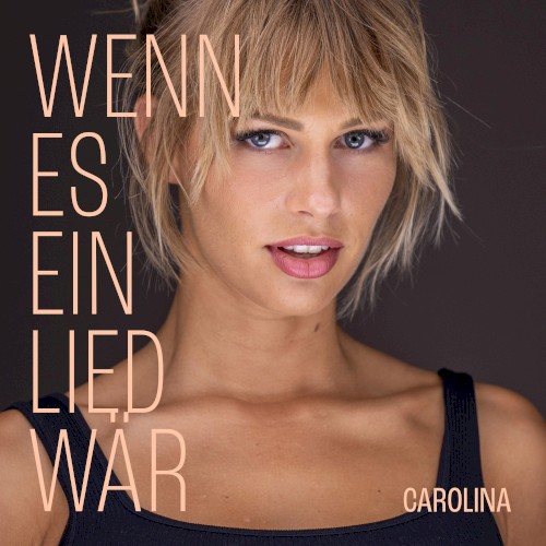 Wenn es ein Lied wär