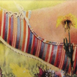 Tripping Daisy