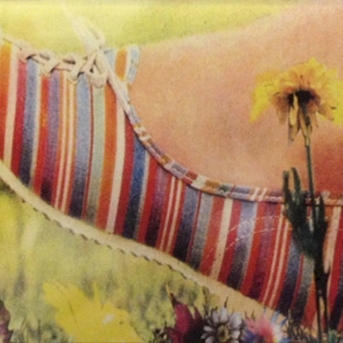Tripping Daisy