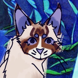 dont be a scaredy cat