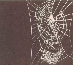 Spider Heaven