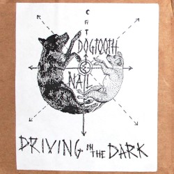 Driving in the Dark
