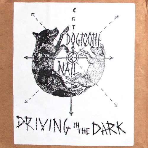 Driving in the Dark