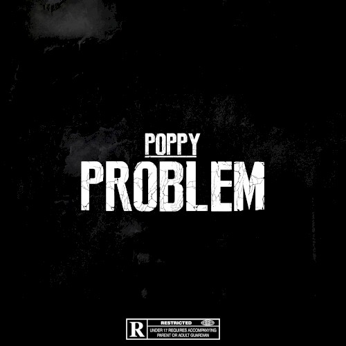 Problem