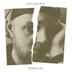 Endless Joy