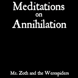Meditations on Annihilation