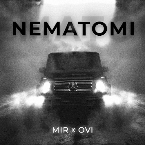 Nematomi