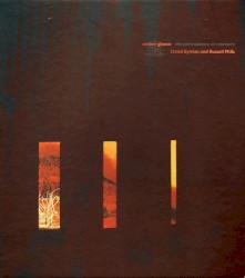 Ember Glance: The Permanence of Memory