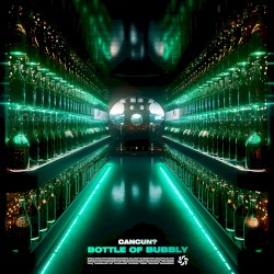 Bottle of Bubbly