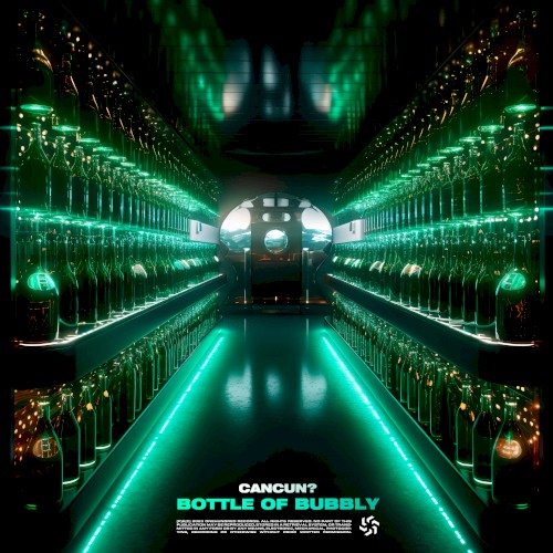 Bottle of Bubbly