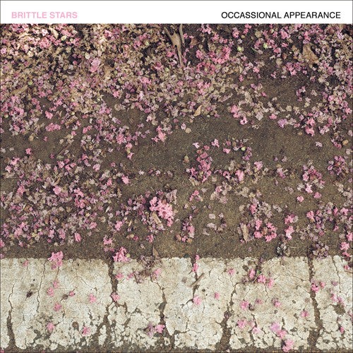Occasional Appearance