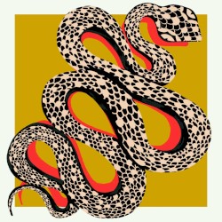 Snakes