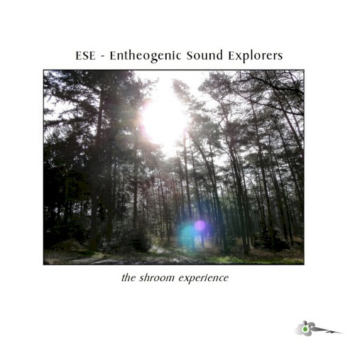 The Shroom Experience