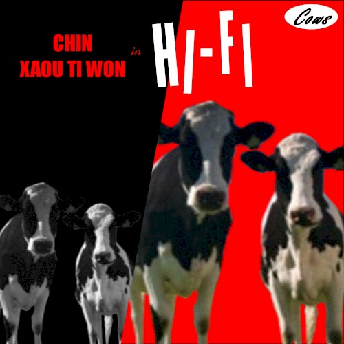 Cows