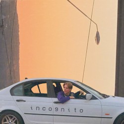 incognito