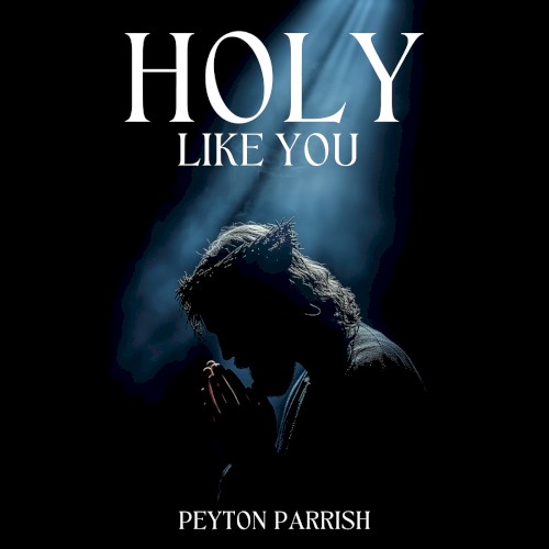 Holy Like You