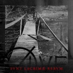 SVNT LACRIMÆ RERVM