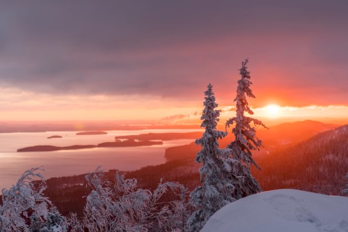 Sunset in Snow