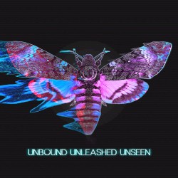 Unbound Unleashed Unseen