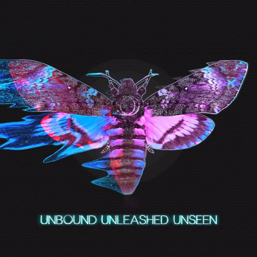 Unbound Unleashed Unseen