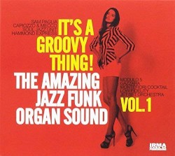It’s a Groovy Thing! Amazing Jazz Funk Guitar Sound, Vol. 1